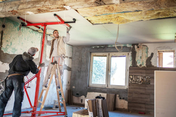 Best Insulation for New Construction  in Marshall, MN
