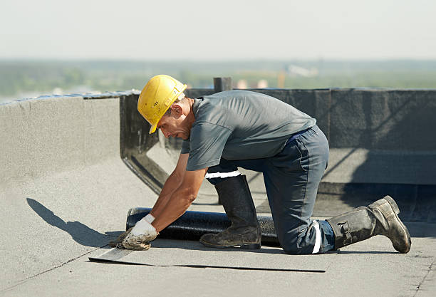 Best Cellulose Insulation  in Marshall, MN